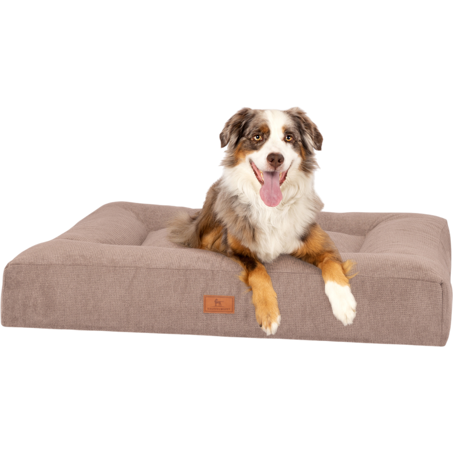 Hundebett Sofia – Erholsamer Schlaf in Perfektion