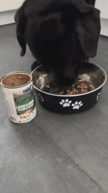 Tundra Dog - Lachs & Huhn