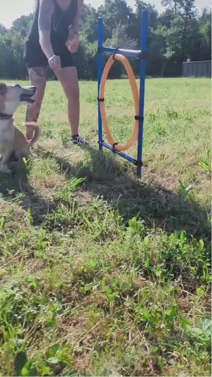 Trixie Agility Ring – Verstellbarer Sprungreifen für aktives Hundetraining