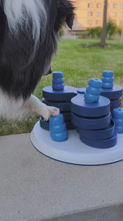 Intelligenzspielzeug Level 3 – Spielturm für fortgeschrittene Spürnasen