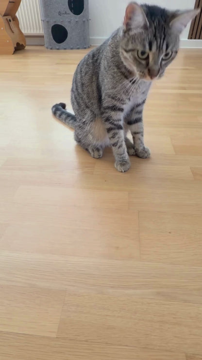 Dokas Cat - Schleck & weg Katzendrink Huhn