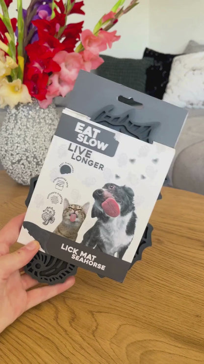 Dokas Cat - Lachs-Smoothie
