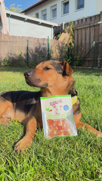 Dokas Dog - Hühnerbrust mit Kokosnuss