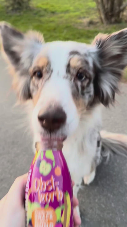 SmoothieDog Obstkorb – Fruchtige Vielfalt für Hunde