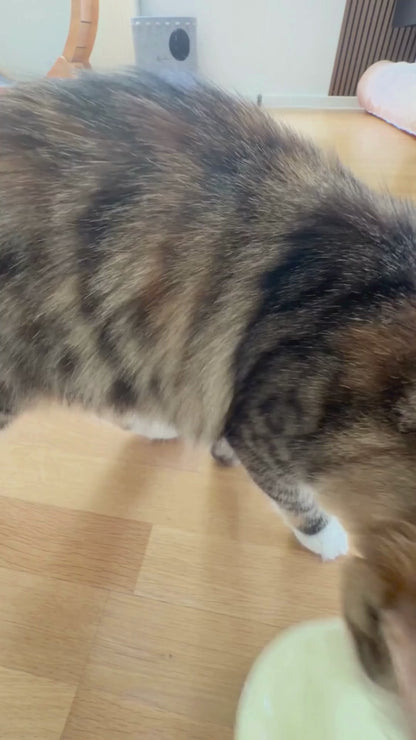 Dokas Cat - Thunfisch Filet