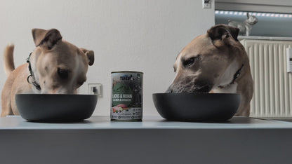 Tundra Dog - Lachs & Huhn