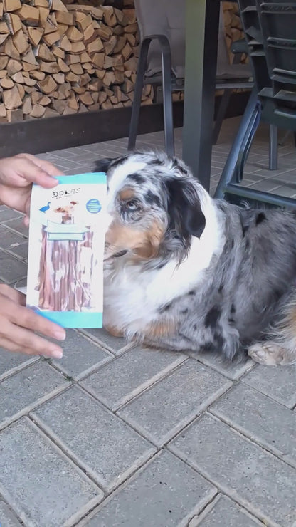 Dokas Dog - Sticks mit Entenbrust, Herz & Leber