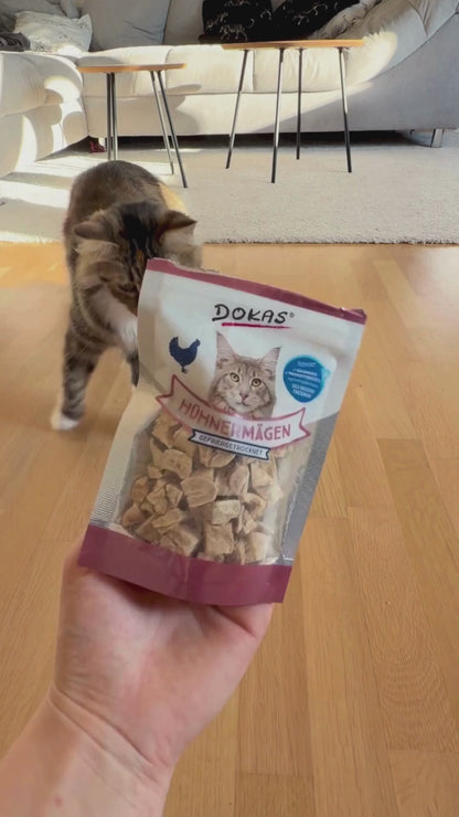 Dokas Cat - Hühnermägen (gefriergetrocknet)