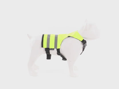 Sicherheitsjacke Fluo – Maximale Sichtbarkeit für deinen Hund!