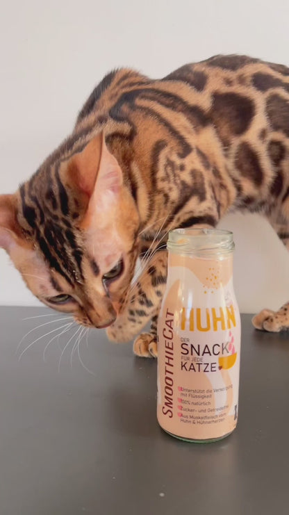 SmoothieCat Kaninchen – magerer Katzensmoothie mit Pastinake