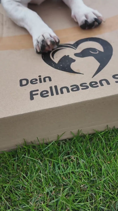 Gruni Skipper – Der nachhaltige Pinguin mit Überraschungseffekt
