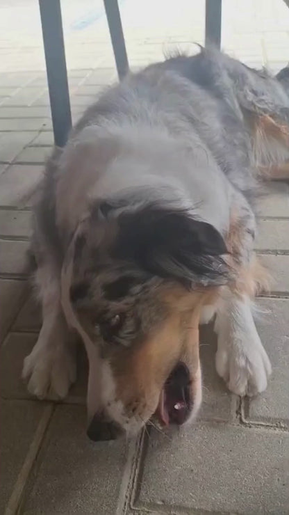 Dokas Dog - Kaurolle Hühnerbrust