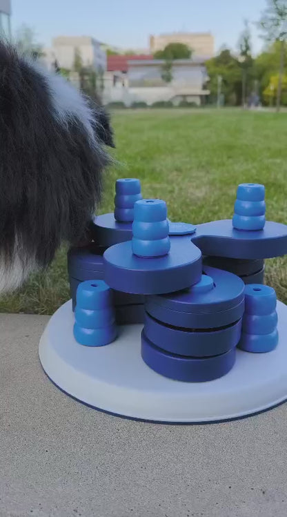 Intelligenzspielzeug Level 3 – Spielturm für fortgeschrittene Spürnasen