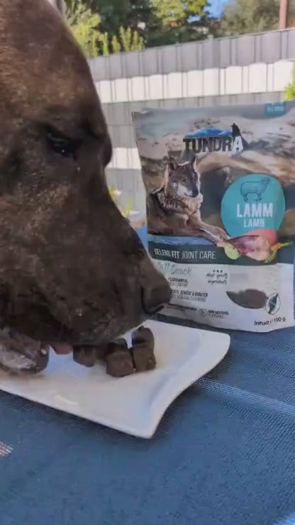 Tundra Dog - Gelenk Fit Lamm