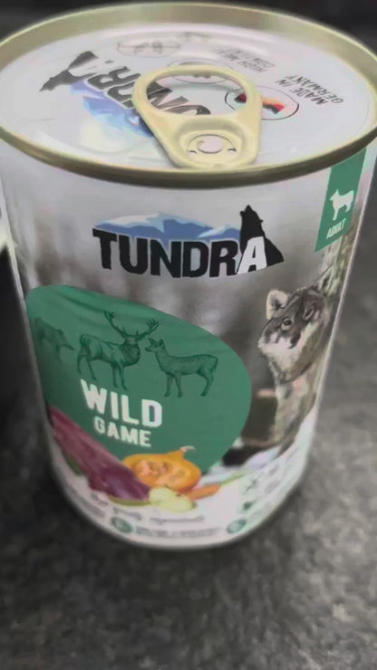Tundra Dog - Wild