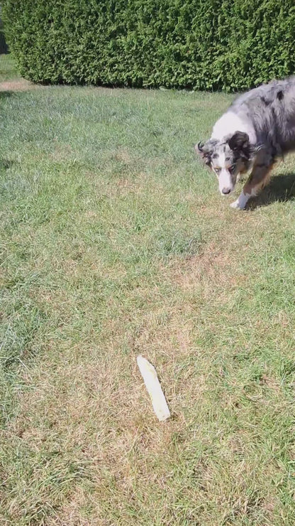 Dokas Dog - Kaurippe mit Entenbrustfilet
