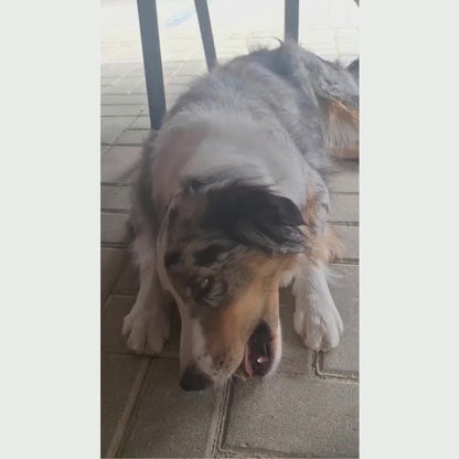 Dokas Dog - Hühnerbrust Kaurolle