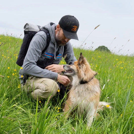 Redoggo Rolltop Bina Edition – Nachhaltiges Unikat mit Geschichte