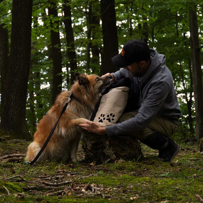 Redoggo Rolltop Bina Edition – Nachhaltiges Unikat mit Geschichte