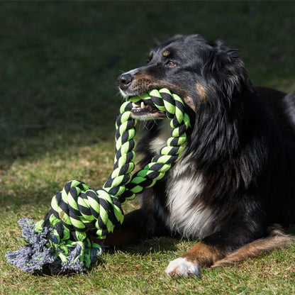 Kauen, Zerren, Apportieren – Das XXL-Kauseil für starke Hunde und gesunde Zähne
