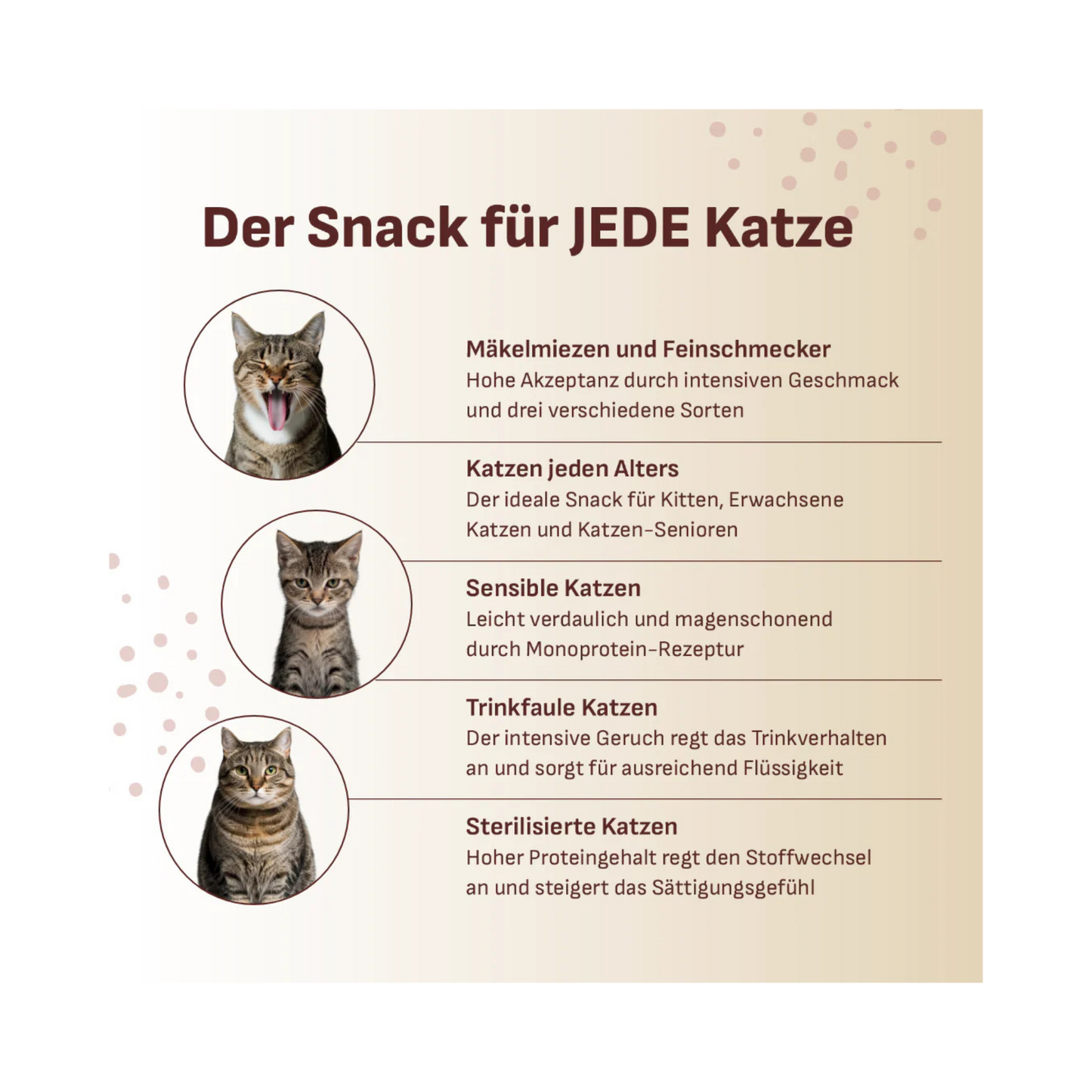 SmoothieCat Kaninchen – magerer Katzensmoothie mit Pastinake
