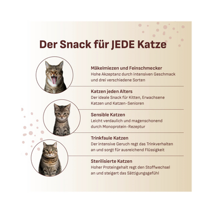 SmoothieCat Kaninchen – magerer Katzensmoothie mit Pastinake