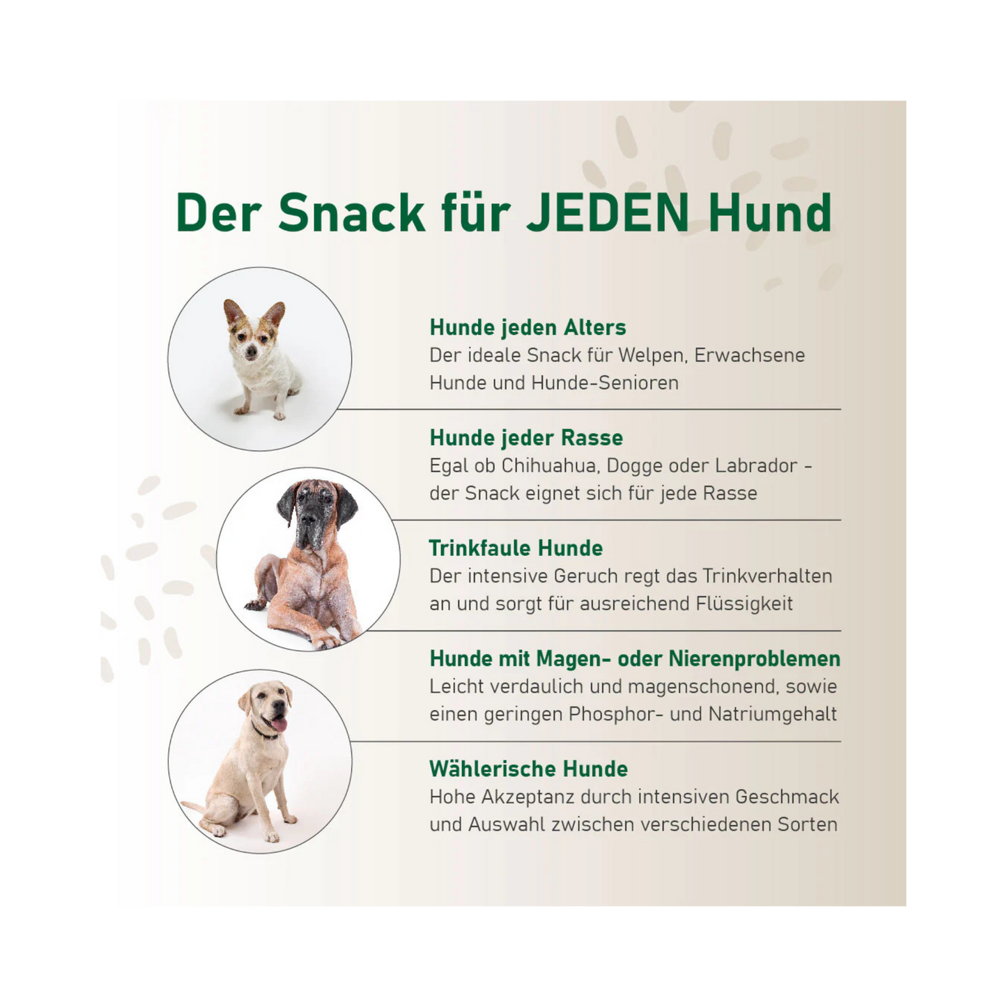 SmoothieDog Rind – 100 % natürliche Zutaten für Hunde