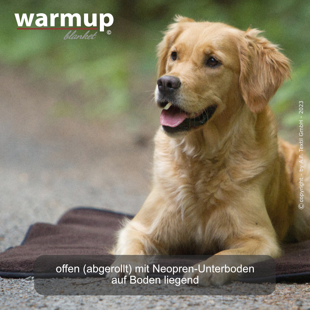 Warmup Blanket Basic – die universelle Outdoor-Decke für Hunde
