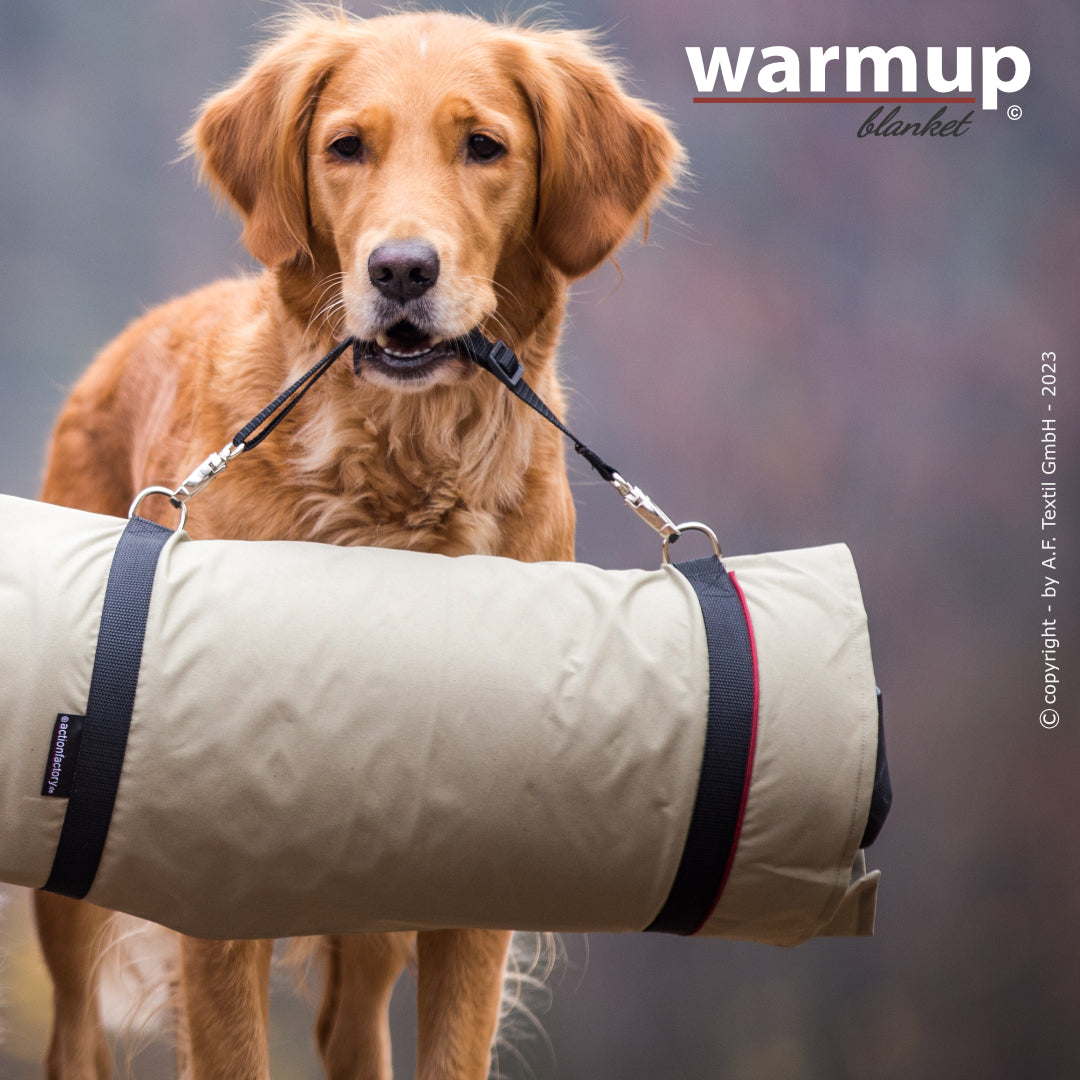 Warmup Blanket Basic – die universelle Outdoor-Decke für Hunde