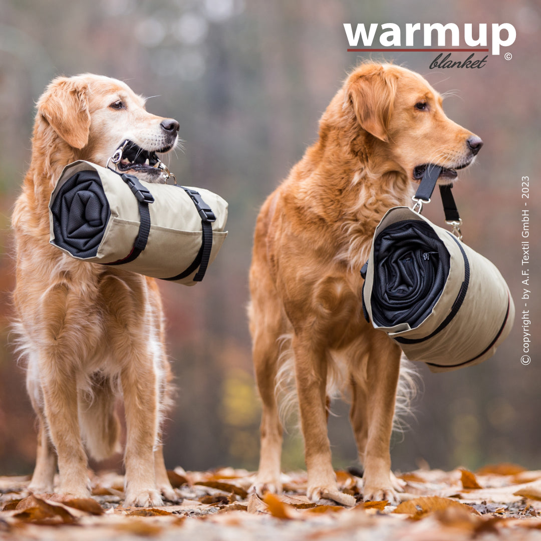 Warmup Blanket Basic – die universelle Outdoor-Decke für Hunde