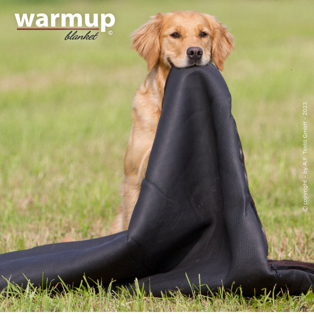 Warmup Blanket Big – die universelle Outdoor-Decke für Hunde