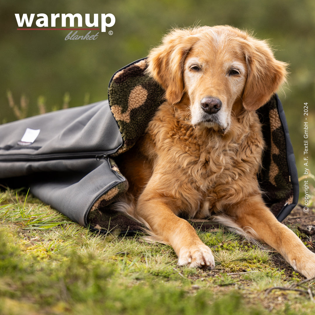 Warmup Blanket Big – die universelle Outdoor-Decke für Hunde