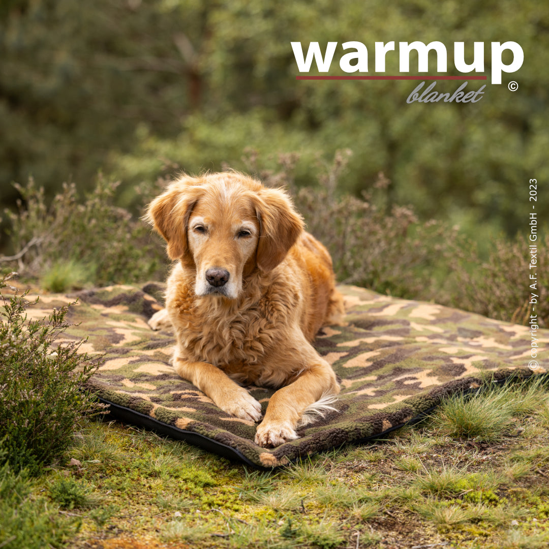 Warmup Blanket Big – die universelle Outdoor-Decke für Hunde